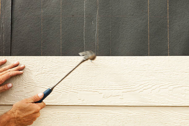 Best Steel Siding Installation  in Dickson, TN